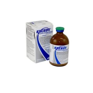 Excede - 100ml