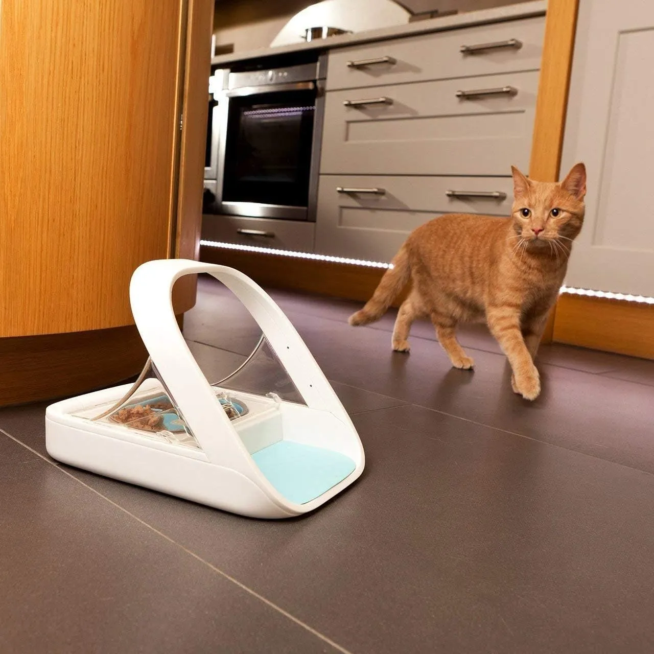 Automatic Pet Feeder -Microchip Pet Feeder - MPF001 - Suitable for Both Wet and Dry Food - Bonus eOutletDeals Pet Towel – Bild 5