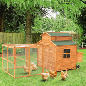 Alternative view of 56&rdquo; Outdoor Weatherproof Wooden Chicken Coop,with nesting box,galvanized wire,asphalt roof and removable tray