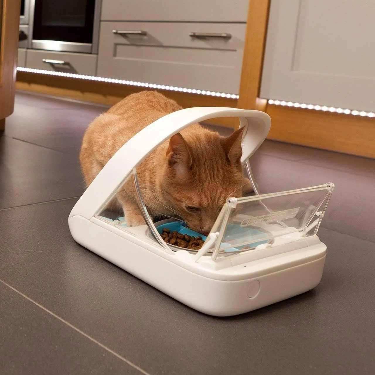 Automatic Pet Feeder -Microchip Pet Feeder - MPF001 - Suitable for Both Wet and Dry Food - Bonus eOutletDeals Pet Towel – Bild 6