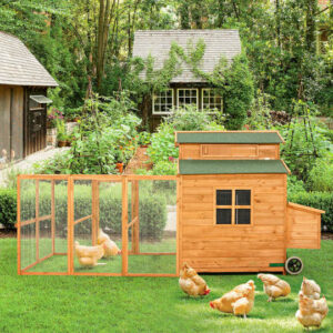 56” Outdoor Weatherproof Wooden Chicken Coop,with nesting box,galvanized wire,asphalt roof and removable tray
